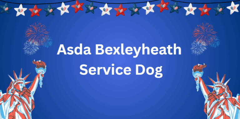 Asda Bexleyheath Service Dog