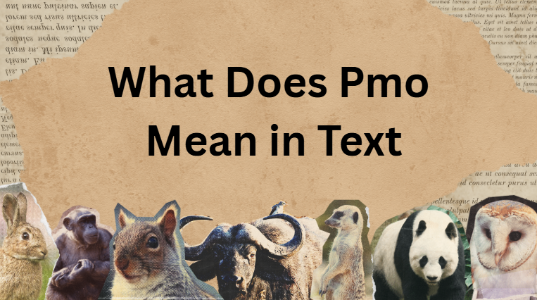 What Does Pmo Mean in Text What Does Pmo Mean in Text